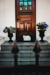 Maison à Reykjavik en Islande