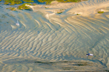 vue aérienne de l'île aux oiseaux et des cabanes tchankés dans le Bassin d'Arcachon en France