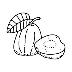 Linear Guava. Hand drawn Guava fruits isolated on white background. doodle style design for coloring book.