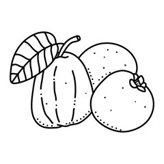 Linear Guava. Hand drawn Guava fruits isolated on white background. doodle style design for coloring book.