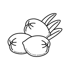 Olives fruit doodle icon design isolated on white background