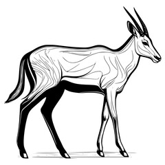 silhouette vector illustration of an antelope 