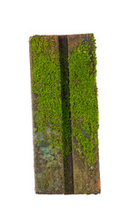 Green moss on brick on white background
