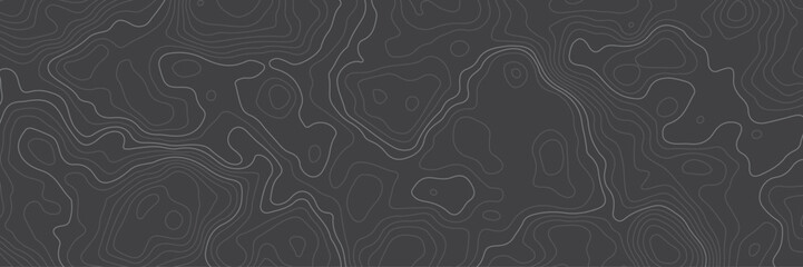 Abstract topographic contours map background. Topography white wave lines vector background. Topographic map Patterns, Topographic map and place for texture. Wavy curve lines banner design. - obrazy, fototapety, plakaty