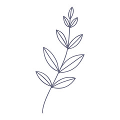 Hand drawn art of elegant leaf.