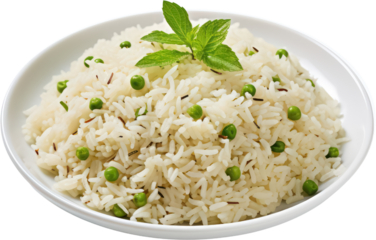 Delicious Tasty rice pilaf in plate. vermicelli, parsley, celery, onions, PNG, Transparent, isolate.