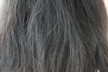 女性の傷んだ髪の毛・毛先のクローズアップ