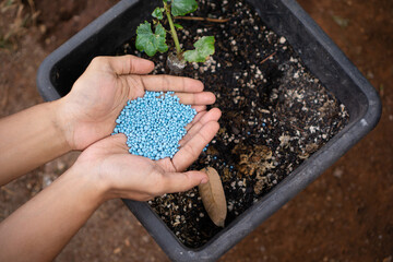 concept of giving an excessively NPK fertilizer to plant, it refer for  type of fertilizer contain...
