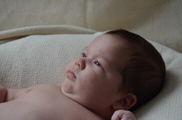 New born boy baby photoshoot