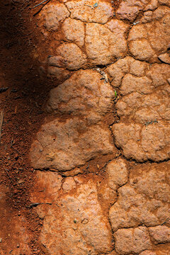 Dried caked and cracked mud on a mountain bike trail
