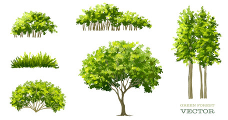 Vertor set of green tree,plants side view for landscape elevation,element for backdrop,eco environment concept design,watercolor greenery scene
