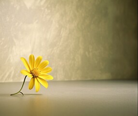 Beautiful Yellow Flower, Tabletop Arrangement Sitting in Soft Light Minimalistic Still Life Photo Background