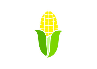 Sweet Corn Logo Design. Vector Illustration. Comic style corn cob, ear with leaves, cartoon vector illustration isolated on white background. Simple cartoon style cob, ear of corn crop