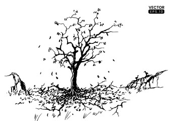 Hand drawn vector illustration. tree sketch vector formats