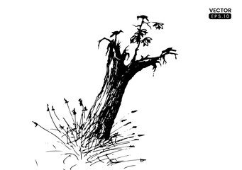 Fototapeta premium Hand drawn vector illustration. tree sketch vector formats