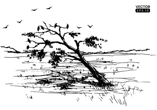 Hand drawn vector illustration. tree sketch vector formats