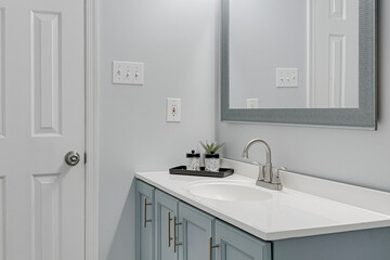 Contemporary Light Blue Bathroom with Sparkling White Countertop, Single Chrome Faucet, Decorative Plant, and Framed Mirror Detail