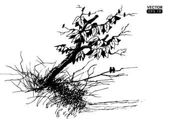 tree with leaves isolated on white background. Vintage sketch vector illustration