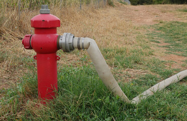 red fire hydrant with hose and dry summer vegetation