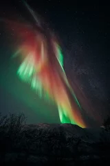 Poster Aurora Borealis © Erland