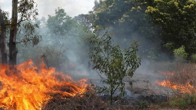 A stunning veld fire in a field in between a suburb and a railway. Showing the death and destruction of an uncontrolled fire. looks like a war scene showing the after effects.