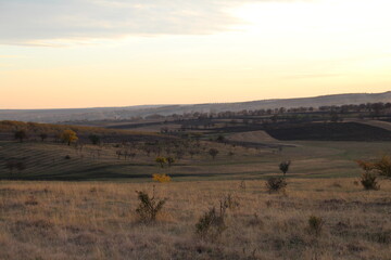 A landscape with a field of grass and trees
