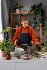 Gardening hobby blog. Child girl caring of home green plants indoors, spring waking up, repotting houseplants