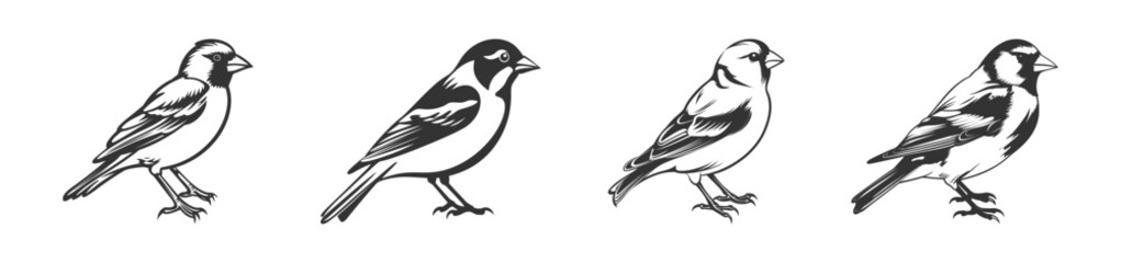 Little bird silhouette set. Vector illustration