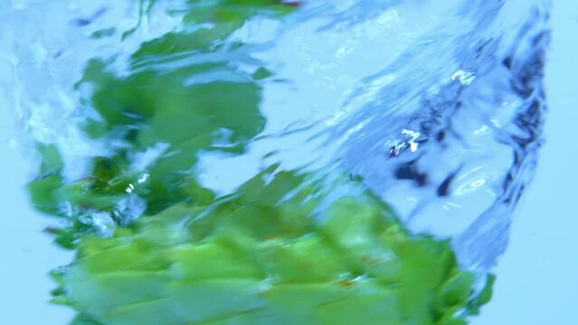 Macro studio shot transition of creating beer, clear water twisting whirl with green hop buds, changing to beer liquid. Water whirlpool concept.