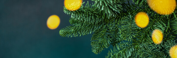 Fir branches close-up on a green background, Christmas banner with bokeh of lights, copy space