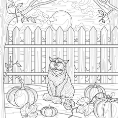 Cat and pumpkins near the fence.Coloring book antistress for children and adults.