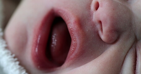 Fototapeta premium Macro close-up of newborn baby face