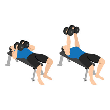 Man doing laying dumbbell svend press exercise. Flat vector illustration isolated on white background