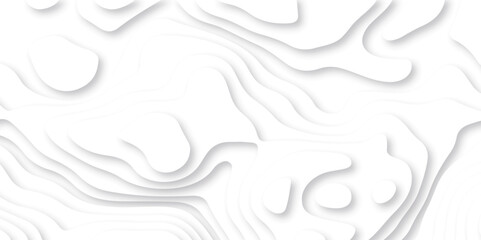 Abstract white paper cut background with lines. Background of the topographic map. White wave paper curved reliefs abstract background. Realistic papercut decoration textured with wavy layers.
