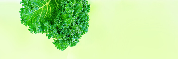 Fresh green kale salad on a bright summer background. Creative layout made of kale...