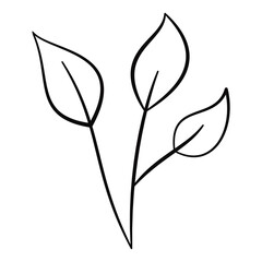 Hand drawn Leave Vector Illustration