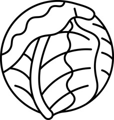 cabbage  icon