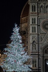 Illuminated Christmas tree in the center of Florence during the holidays - 666688815