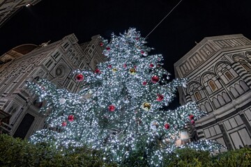 Illuminated Christmas tree in the center of Florence during the holidays - 666689079