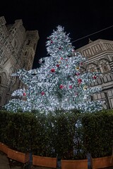 Illuminated Christmas tree in the center of Florence during the holidays - 666689096