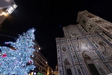 Illuminated Christmas tree in the center of Florence during the holidays - 666689272