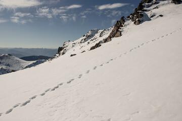 Winter mountain landscape: snow-covered hill, footprints in the snow, blue sky. High-quality photo for website design, postcards, banners, and travel product advertising.