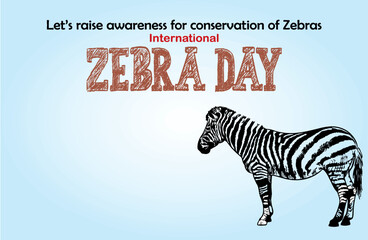 Fototapeta na wymiar Zebra conservation awareness banner and poster. International zebra day poster, banner with blank space to add text. Editable vector, copy space to spread awareness. eps 10.