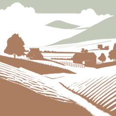 Stof per meter vector image engraving style. landscape crop fields and village in the background. hand drawn © Rita