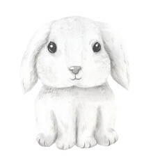 Watercolor hand painted cute baby bunny animal clipart