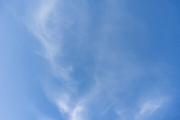 light clouds in the blue sky