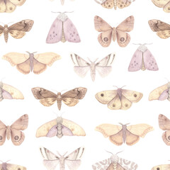 Seamless pattern with watercolor beige moth insect