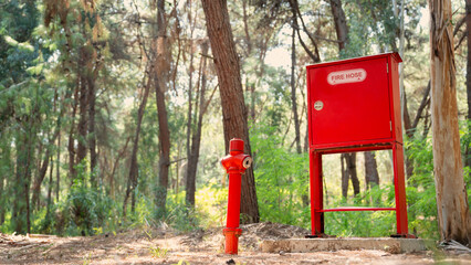 Fototapeta na wymiar Fire hydrant in the forest