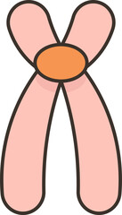 submetacentric  icon