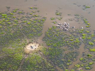 Botswana